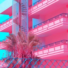 minimal urban pink. tropical palm trees. art fashion