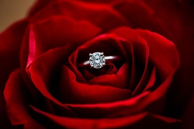a nice diamond ring put in the center of beautiful blossoming rose.