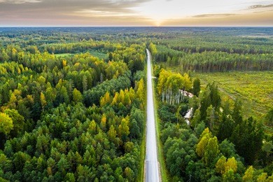 overhead view of foliage trees, river and road in western europe. aerial photography.