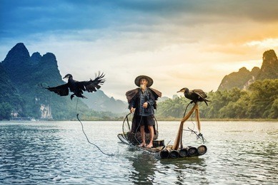 cormorant fisherman in traditional showing of his birds on li river near xingping, guangxi province, china.