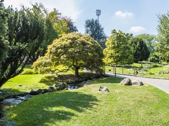 tree and brook at the parco del valentino (also known as valentino park) is a popular public park. it is italy's most extended urban green area in turin.