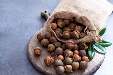 australian macadamia nuts, unpeeld fresh harvest close up