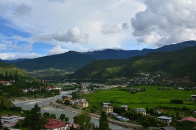 fields in bhutan