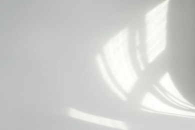 light and shadow from the window