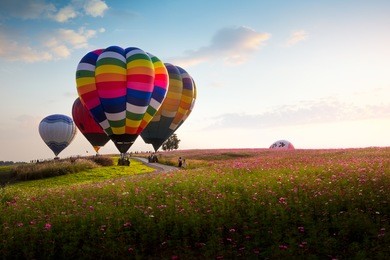 the balloons festival 2017 at singha park, chiangrai province of thailand