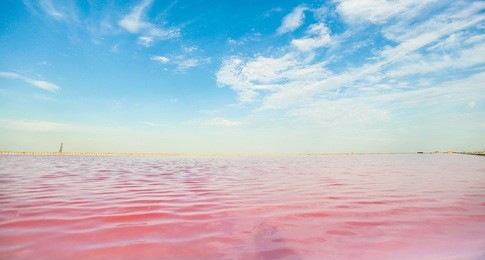 brine and salt of a pink lake, colored by microalgae dunaliella salina, famous for its antioxidant properties, enriching water by beta-carotene, used in medicine, dermatology and spa