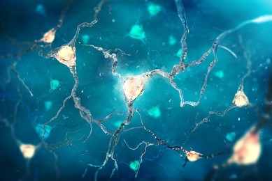 neurons in the brain on dark blue background. 3d illustration