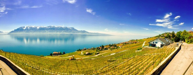 aerial view of the vineyards in the lavaux region of switzerland, lake geneva, panoramic view