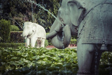 saheliyon-ki-bari (courtyard of the maidens) is a major garden in udaipur, india
