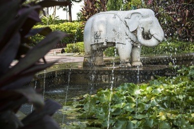saheliyon-ki-bari (courtyard of the maidens) is a major garden in udaipur, india
