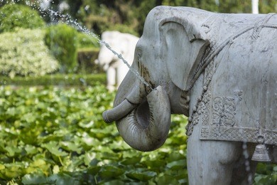 saheliyon-ki-bari (courtyard of the maidens) is a major garden in udaipur, india
