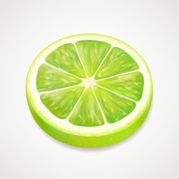 vector lime slice. realistic 3d citrus illustration