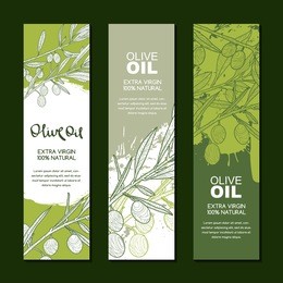 set of vector backgrounds for label, package. sketch hand drawn illustration of green olive branch. concept for agriculture, organic food. olive oil and cosmetics package badges.