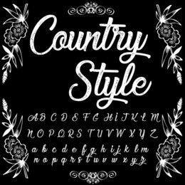 vector set of handwritten abc letters, numbers, and symbols. handcrafted vector script alphabet calligraphy font, icon, letters named country style