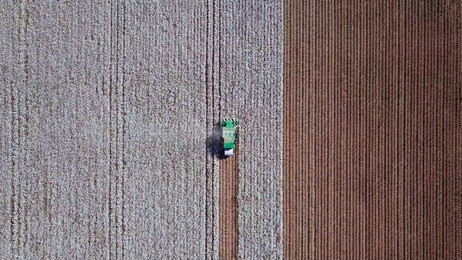 aerial view of a large green cotton picker working in a field.