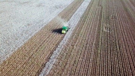 aerial view of a large green cotton picker working in a field.