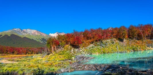 gorgeous landscape of patagonia's tierra del fuego national park in autumn, 2017