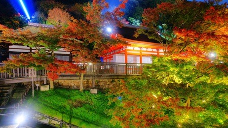 kiyomizu-dera temple and the large veranda (kiyomizu stage) is one of the most scenic spots in kyoto.the kiyomizu stage and maple illumination on november, kyoto, japan.