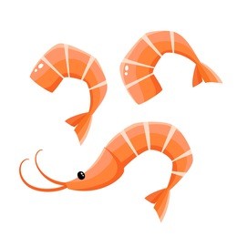 bright vector illustratin of seafood isolated on white. fresh cartoon shrimps used for magazine, book, poster, card, menu cover, web pages.