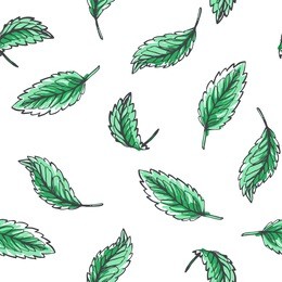 vector seamless pattern with mint leaves. botanical hand drawn illustration of herb. floral texture in sketch style