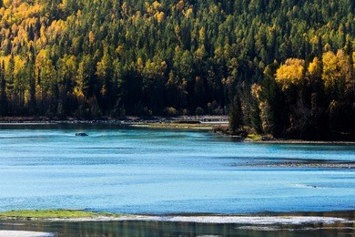 view of river at immortal bay in kanas lake, autumn time, xinjiang, china. 