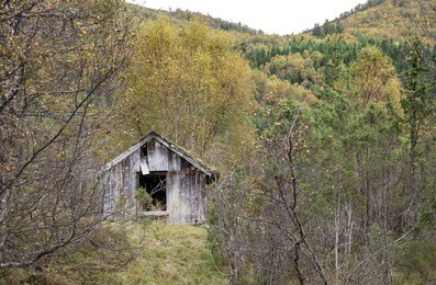 ramshackle and abandoned house in the woods