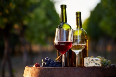 two glasses of white wine and red with a bottle on a wooden barrel outdoors in a vineyard
