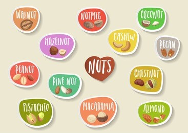 vector set of trendy colorful paper stickers with various nuts and lettering. for packaging and advertising healthy food.