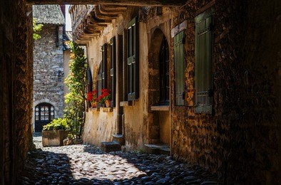 beautiful street with red flowers in the medieval town perouges, france