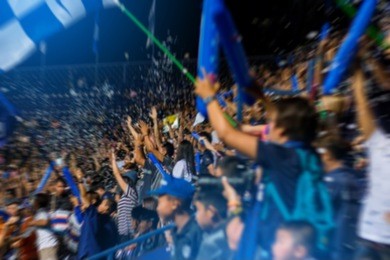 soccer fans in stadium celebrate there goal in soccer match. blurred image