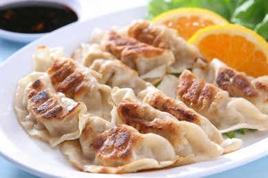 pan fried dumpling