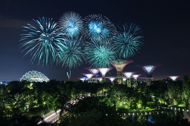 beautiful firework over gardens by the bay with light at night, singapore