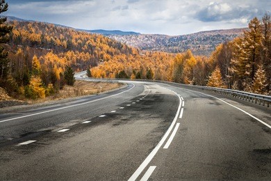 road, highway in autumn forest, larch, pine, landscape, day