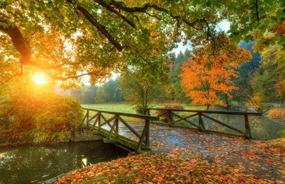 beautiful autumn scenery in park. outdoor photography in sunrise light