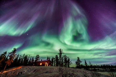 amazing aurora in purple and blue color dancing over chalet in yellowknife