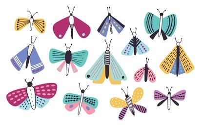 collection of bright colored cartoon moths of different types
