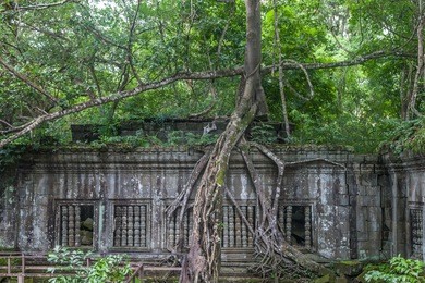 moss covered rock and ruins at ancient beng mealea temple world heritage in siem reap,cambodia.