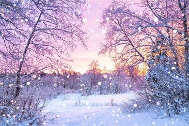 beautiful winter landscape with forest, trees and sunrise. winterly morning of a new day. purple winter landscape with sunset