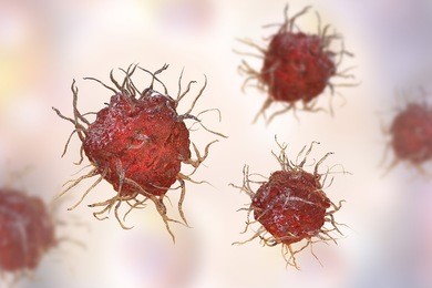 dendritic cell, antigen-presenting immune cell, 3d illustration