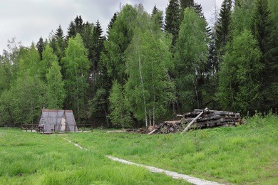 wooden triangle small house in green forest, logs in overcast summer day