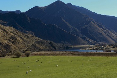 queenstown, new zealand