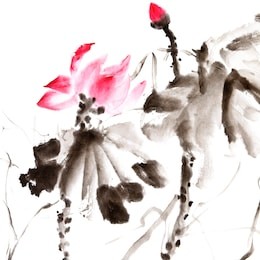 lotus, chinese traditional ink painting artwork with color.