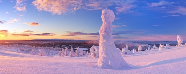 frozen trees on top of the levi fell in finnish lapland