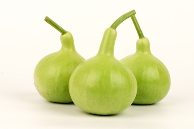 bottle gourd, calabash gourd, vegetables and herbs medicinal