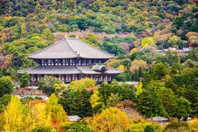 todaiji temple in the fall in nara, japan.