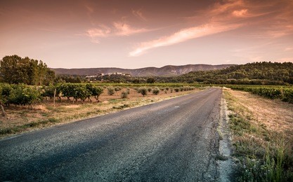 south europe, provence (france) landscape. road, hills, vineyards, fields, and olive groves in warm sunset light.