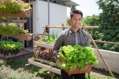 happy young man holding a bucket full of lettuce in front of his urban farm