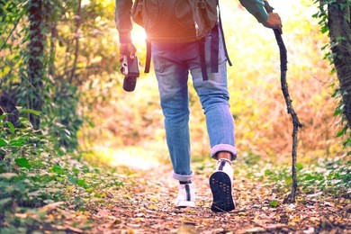 travel and hiking along the forest path in autumn season - young man walking in woods holding stick and camera - concept of adventure, trekking and seasonal vacation with rear view of tourist on trail