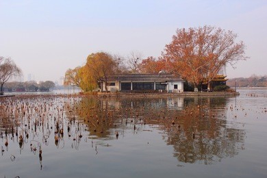 daming lake, jinan, shandong province, china