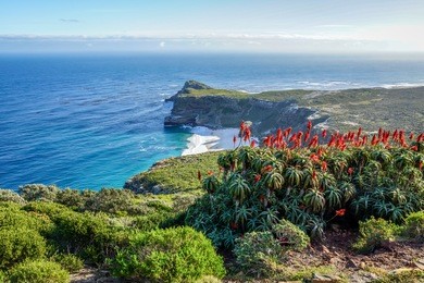 cape of good hope